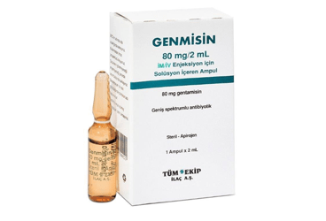 GENMISIN 80 MG 1 AMPUL